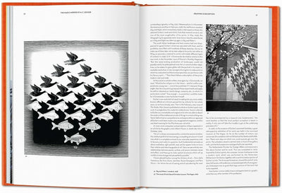 Magic Mirror of M. C. Escher