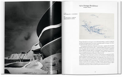 Taschen Basic Art Series 2.0 LAUTNER