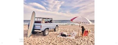 Gray Malin: Dogs: Photographs