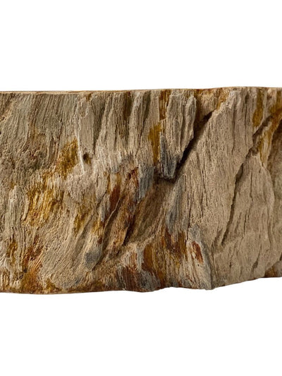 Petrified Wood XL Bowl