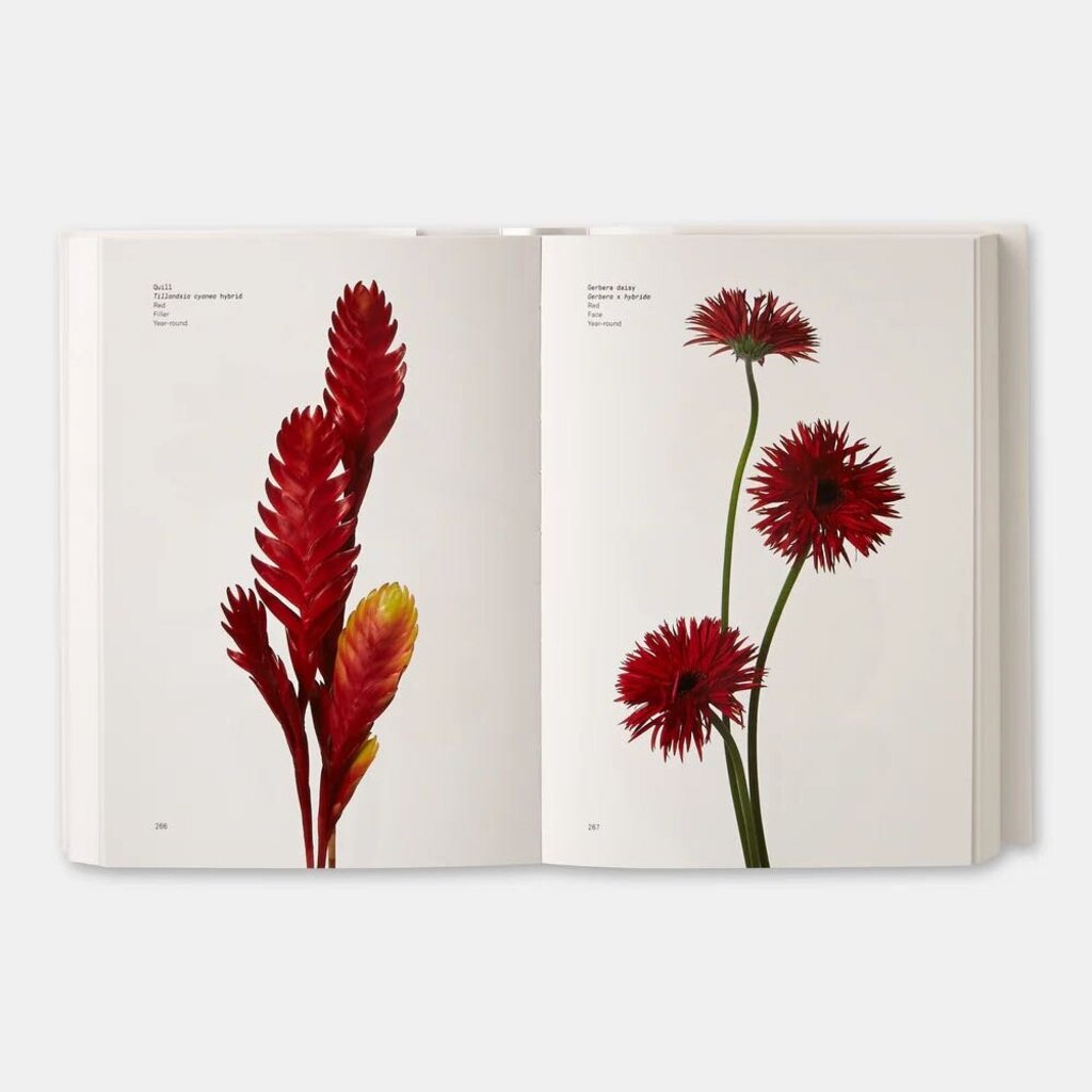Flower Color Guide