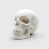 Skull Lamp - 6"Hx8"Dx5.5"W