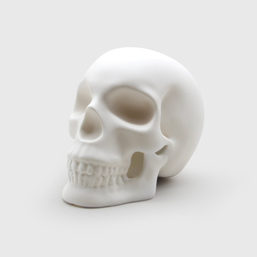 Skull Lamp - 6"Hx8"Dx5.5"W