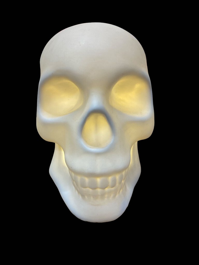 Skull Lamp - 6"Hx8"Dx5.5"W