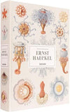 The Art and Science of Ernst Haeckel