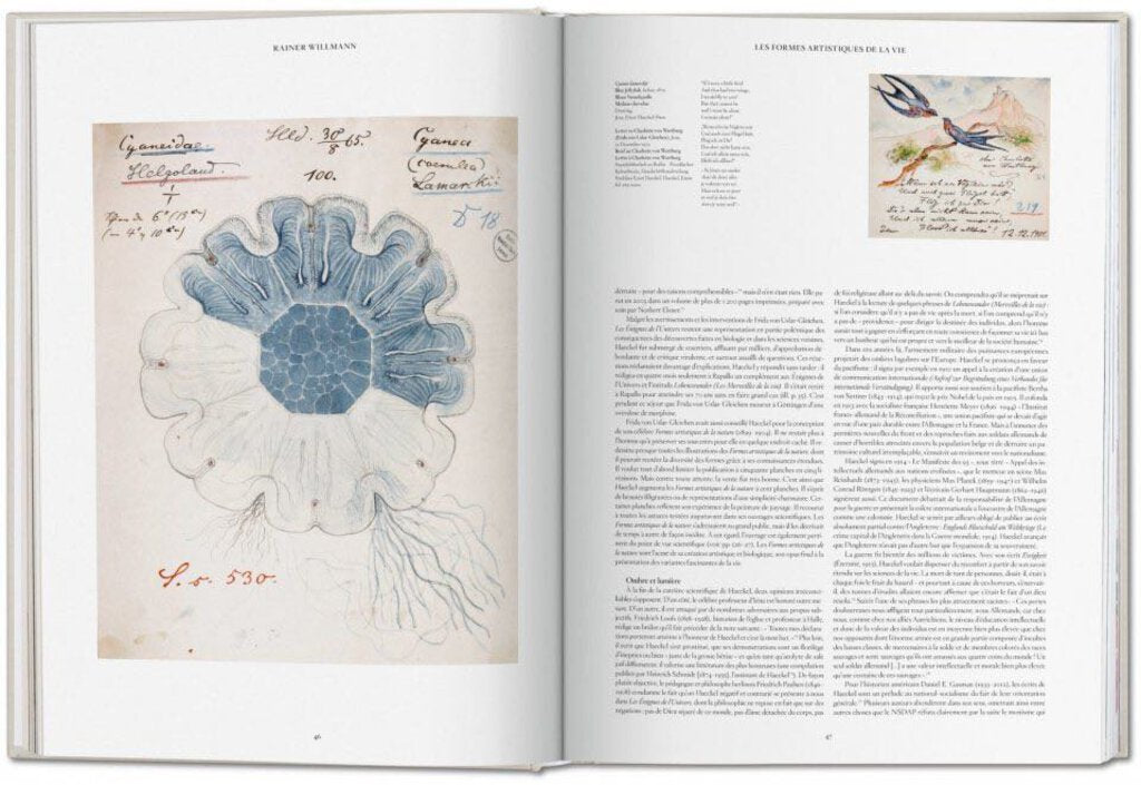 The Art and Science of Ernst Haeckel