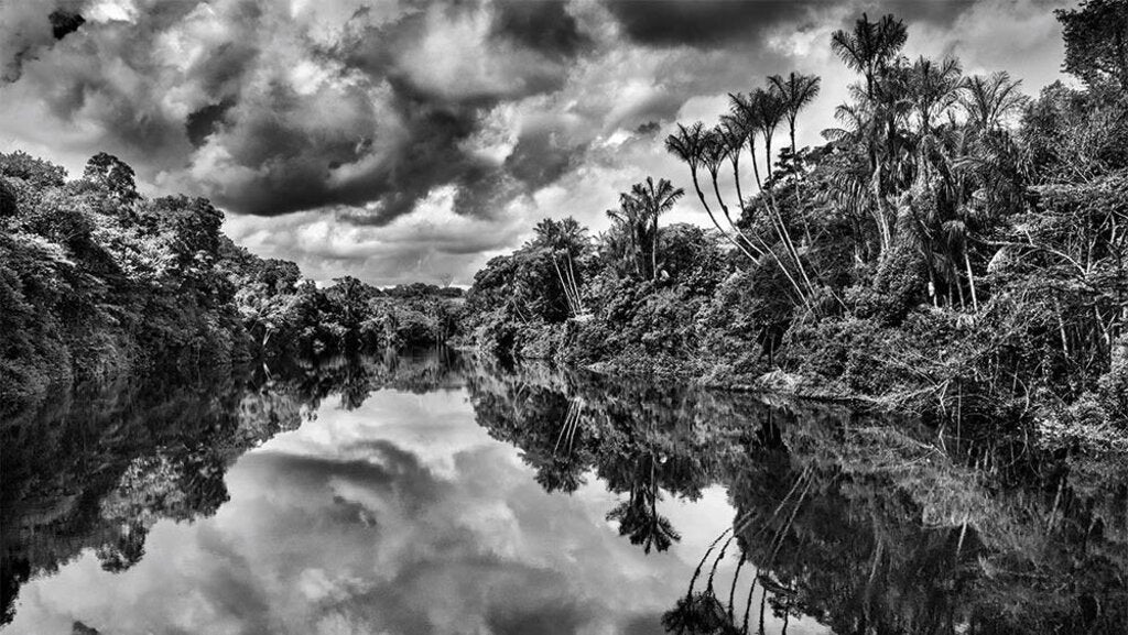 Amazonia: Sebastiao Salgado