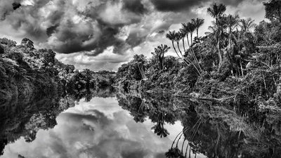 Amazonia: Sebastiao Salgado