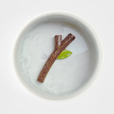 Fetch Stick Dog Bowl