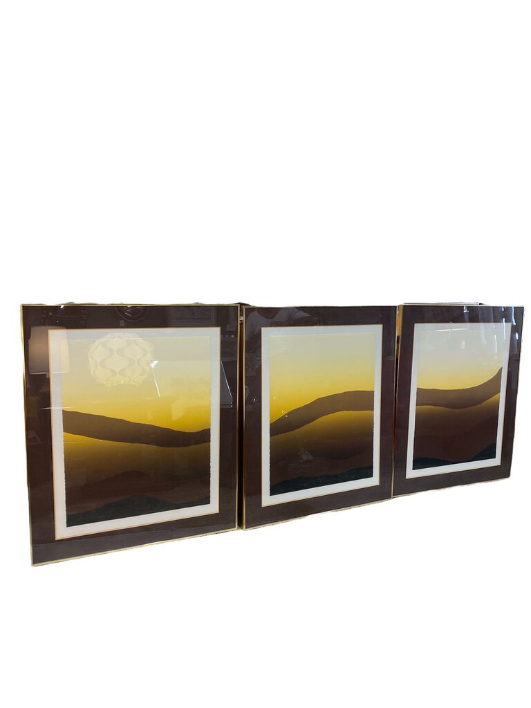 Vintage Triptych 70s Dunes Wall Art by Jack Duganne (Set of 3)