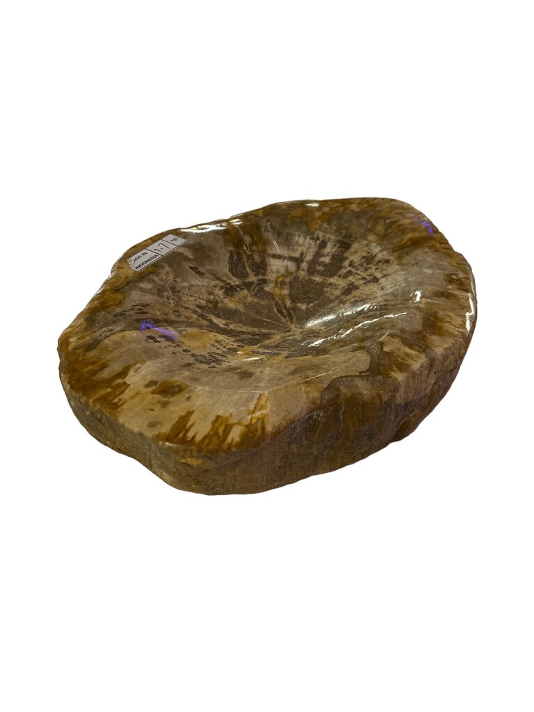 Petrified Wood Bowl