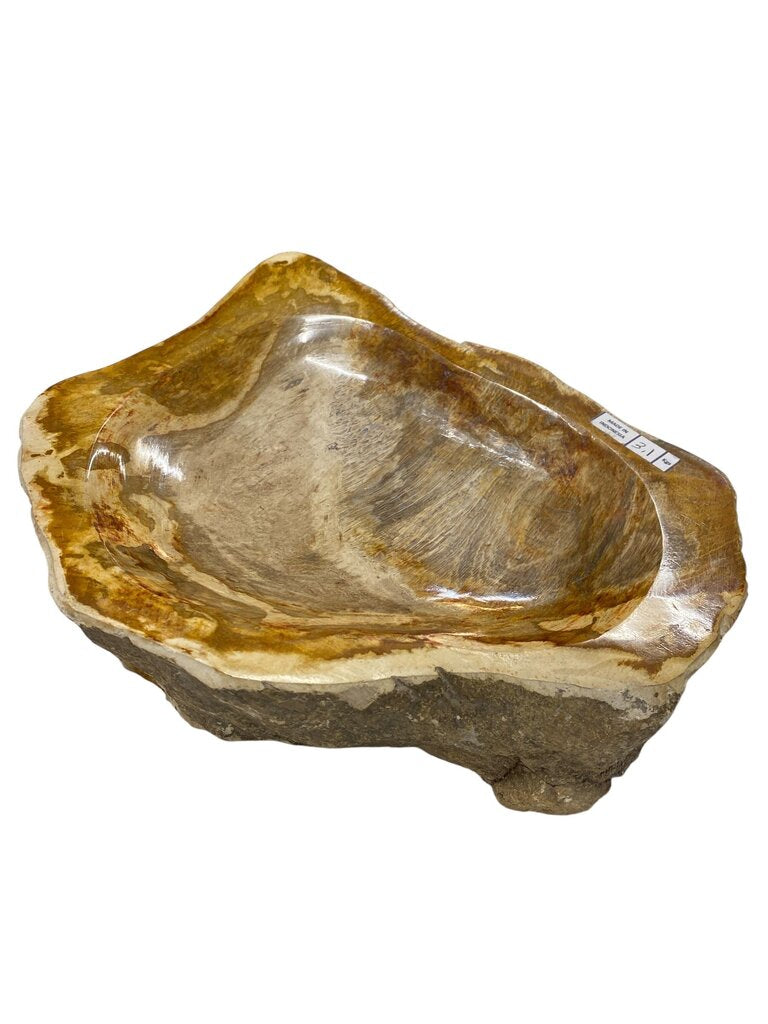 Petrified Wood Bowl