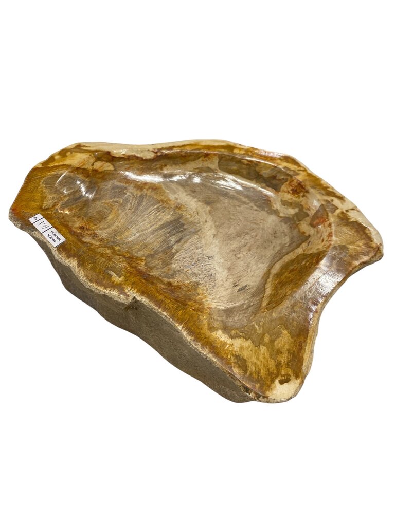 Petrified Wood Bowl