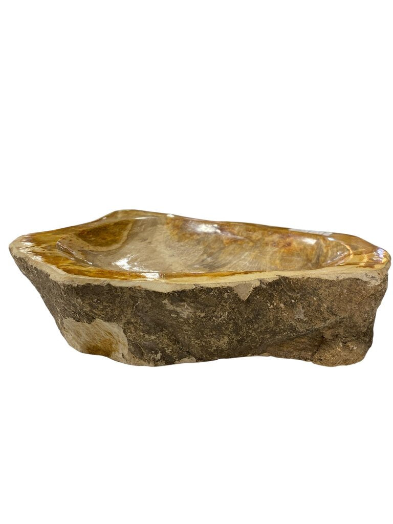 Petrified Wood Bowl