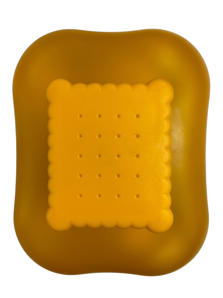 Biscuit Box in Orange