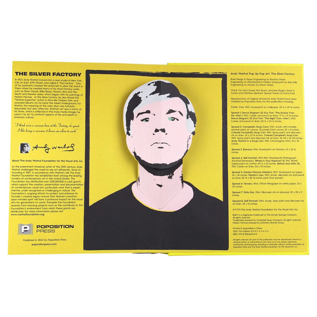 ANDY WARHOL POP UP POP ART BOOK