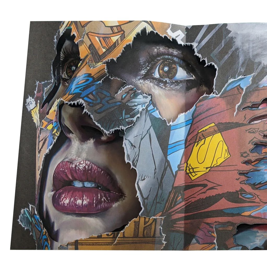 Sandra Chevrier Cages Pop Up Book