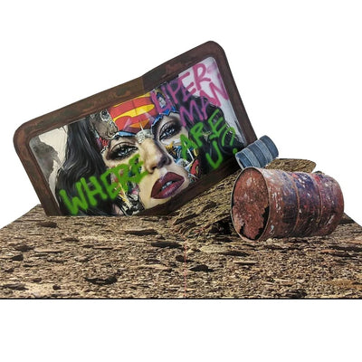 Sandra Chevrier Cages Pop Up Book