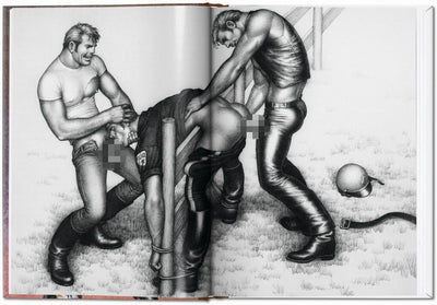 The Little Book of Tom of Finland Cops & Robbers
