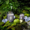 Voluspa Apple Blue Clover 9oz Classic Candle
