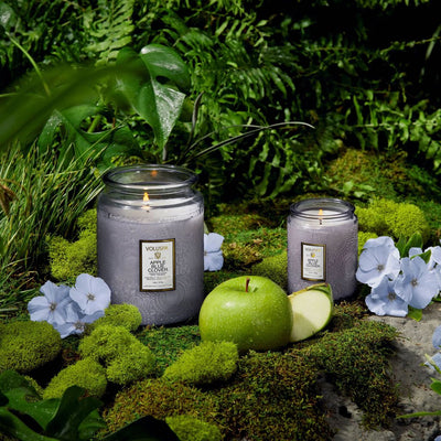 Voluspa Apple Blue Clover 9oz Classic Candle