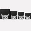 Laura Graves You Asleep Yet Throw Pillow