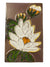 Mit Century West German Water Lily Ceramic Wall Plate