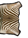 Kenya Authentic Zebra Skin on Felt (as found)
