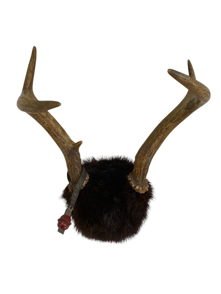 Naturally Shed Antlers with Mink Wrap