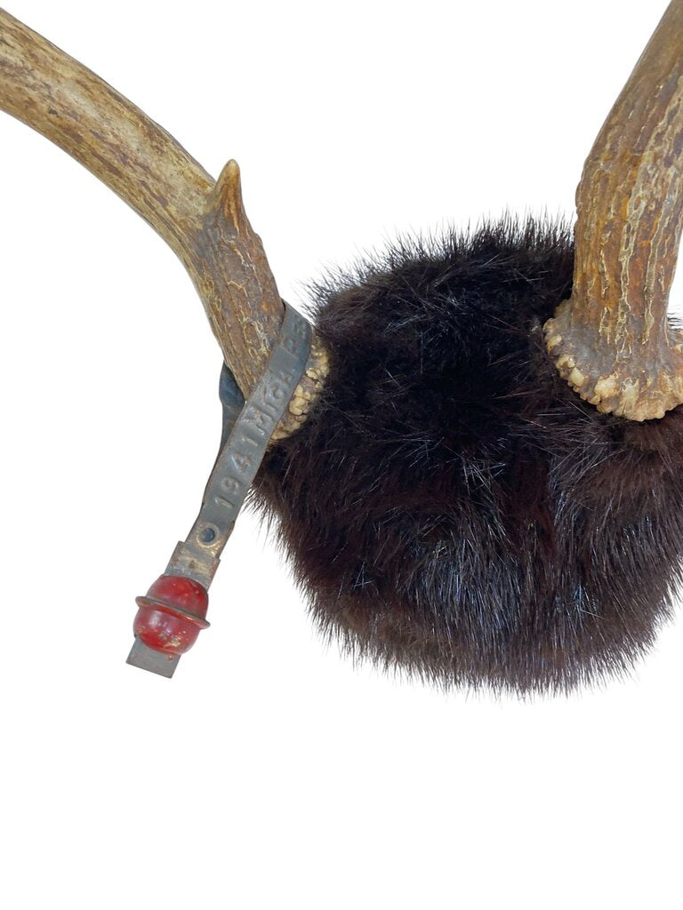 Naturally Shed Antlers with Mink Wrap