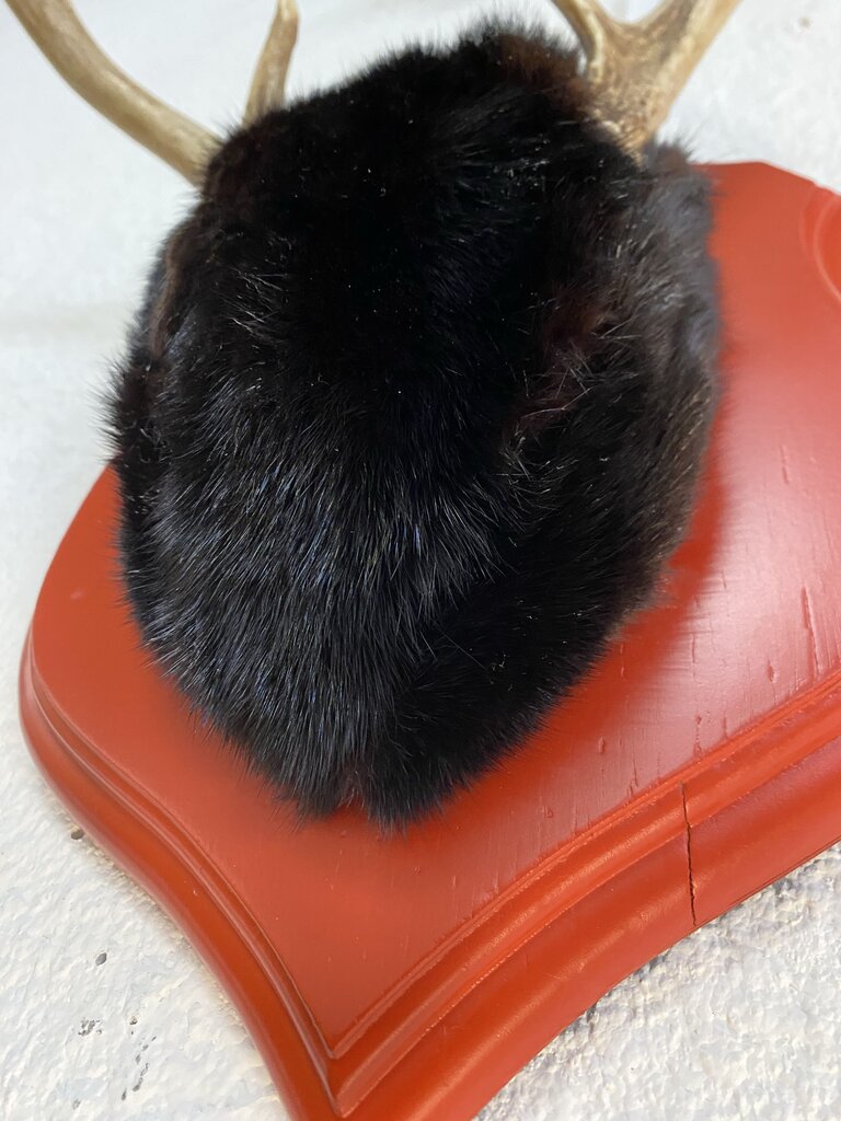 Naturally Shed Antlers with Mink Wrap