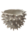 Spikey Porcupine Pot