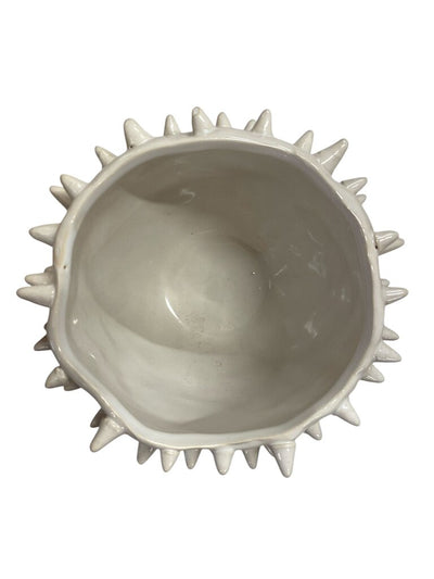 Spikey Porcupine Pot