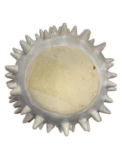 Spikey Porcupine Pot