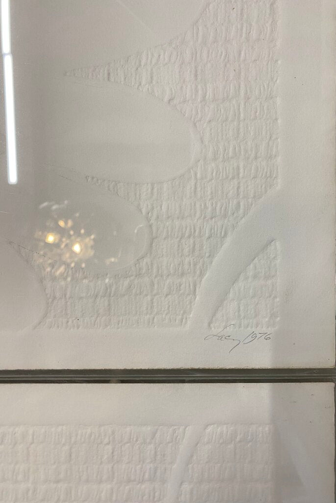 Lemon Series of Four Embossed Artist Proof Lithographs by Lucy, Produced in 1976 (Set of 4)