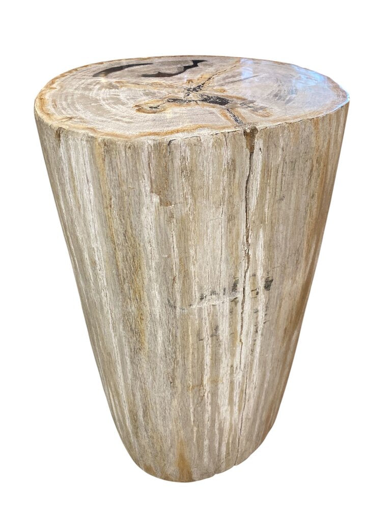 Petrified Wood Side Table