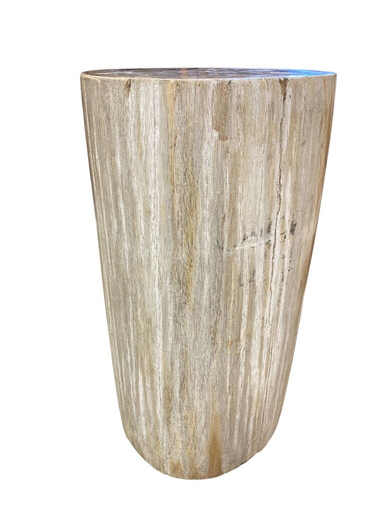 Petrified Wood Side Table