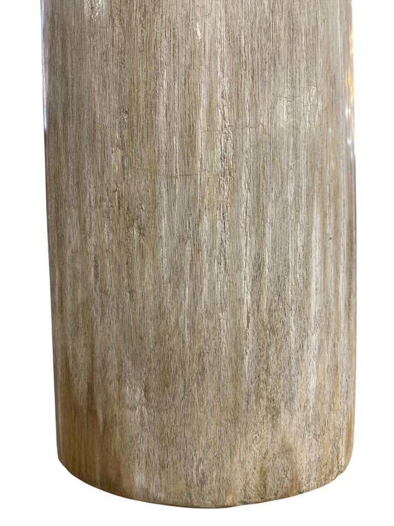 Petrified Wood Side Table