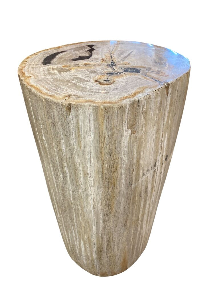 Petrified Wood Side Table