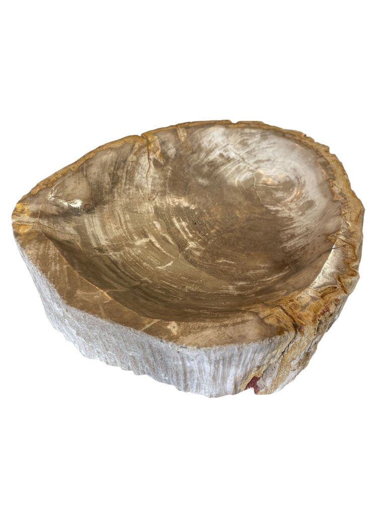 Petrified Wood XL Bowl