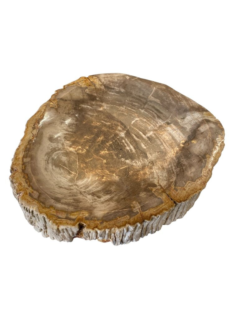 Petrified Wood XL Bowl