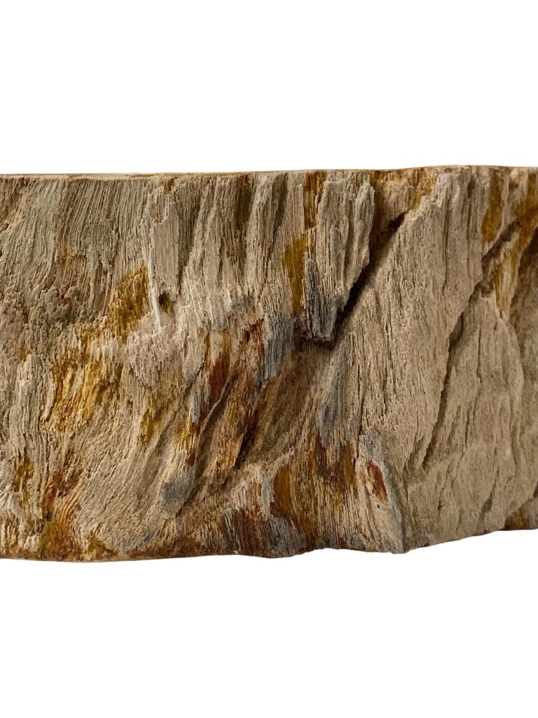 Petrified Wood XL Bowl