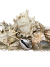 Vintage Hand Made Seashell Mirror