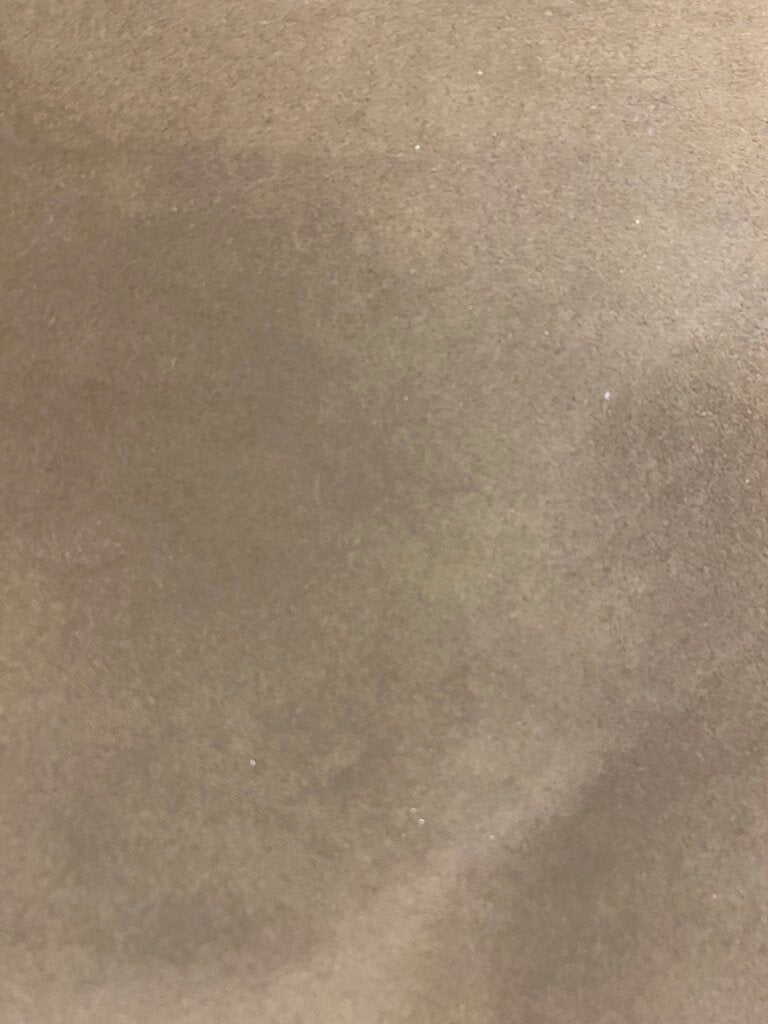 Mid Century Set of 8 Anton Lorenz for Thonet Model SS33 Cantilevered Arm Dining Chairs (Set of 8)