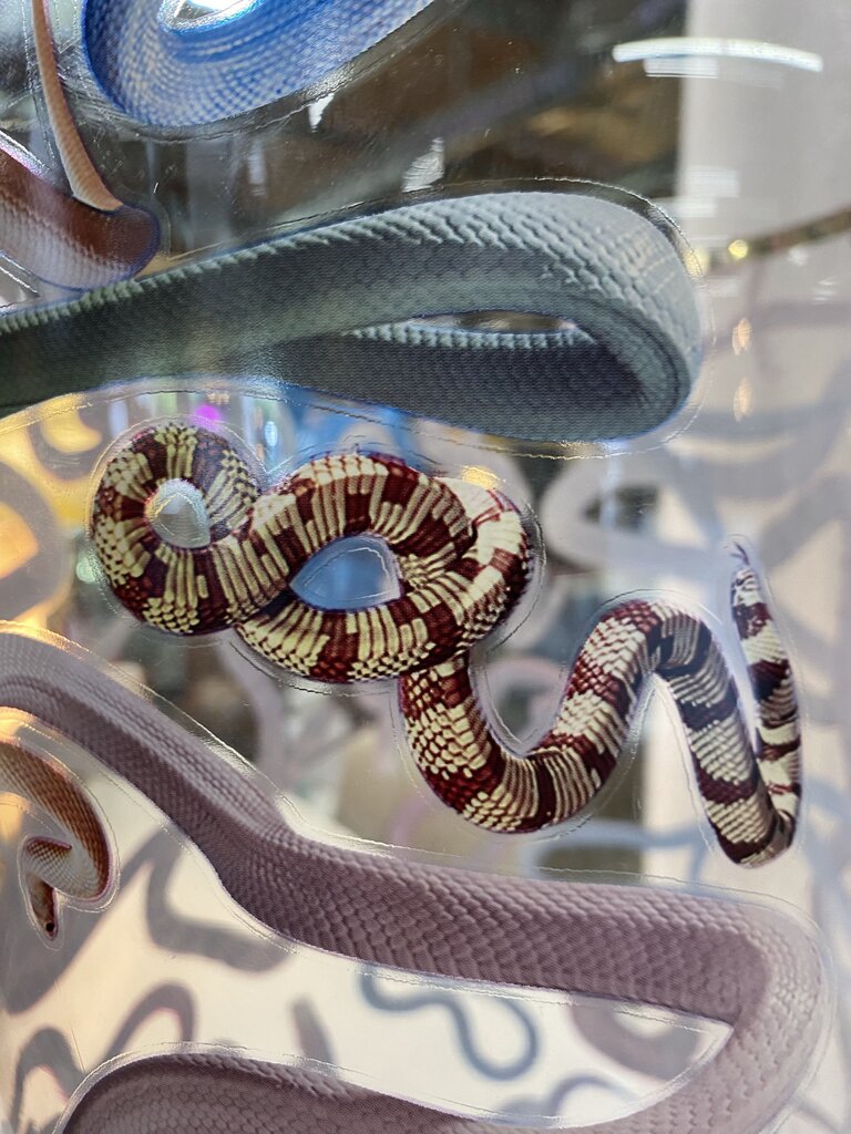 Seletti Toilet Paper Tall Glass Vase In Neutrals by