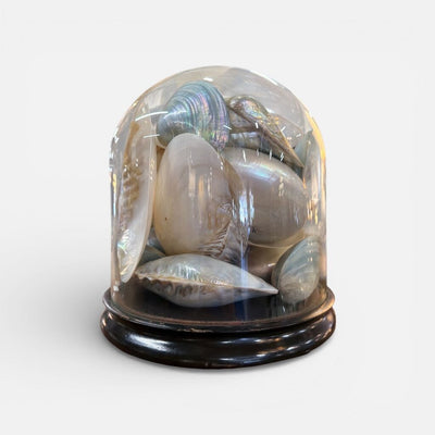 Vintage Glass Dome with Seashells