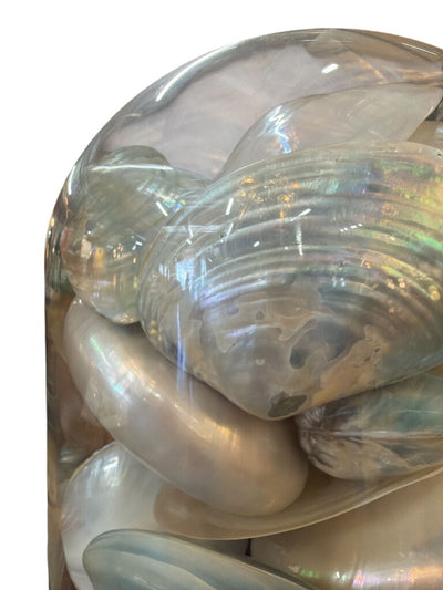 Vintage Glass Dome with Seashells