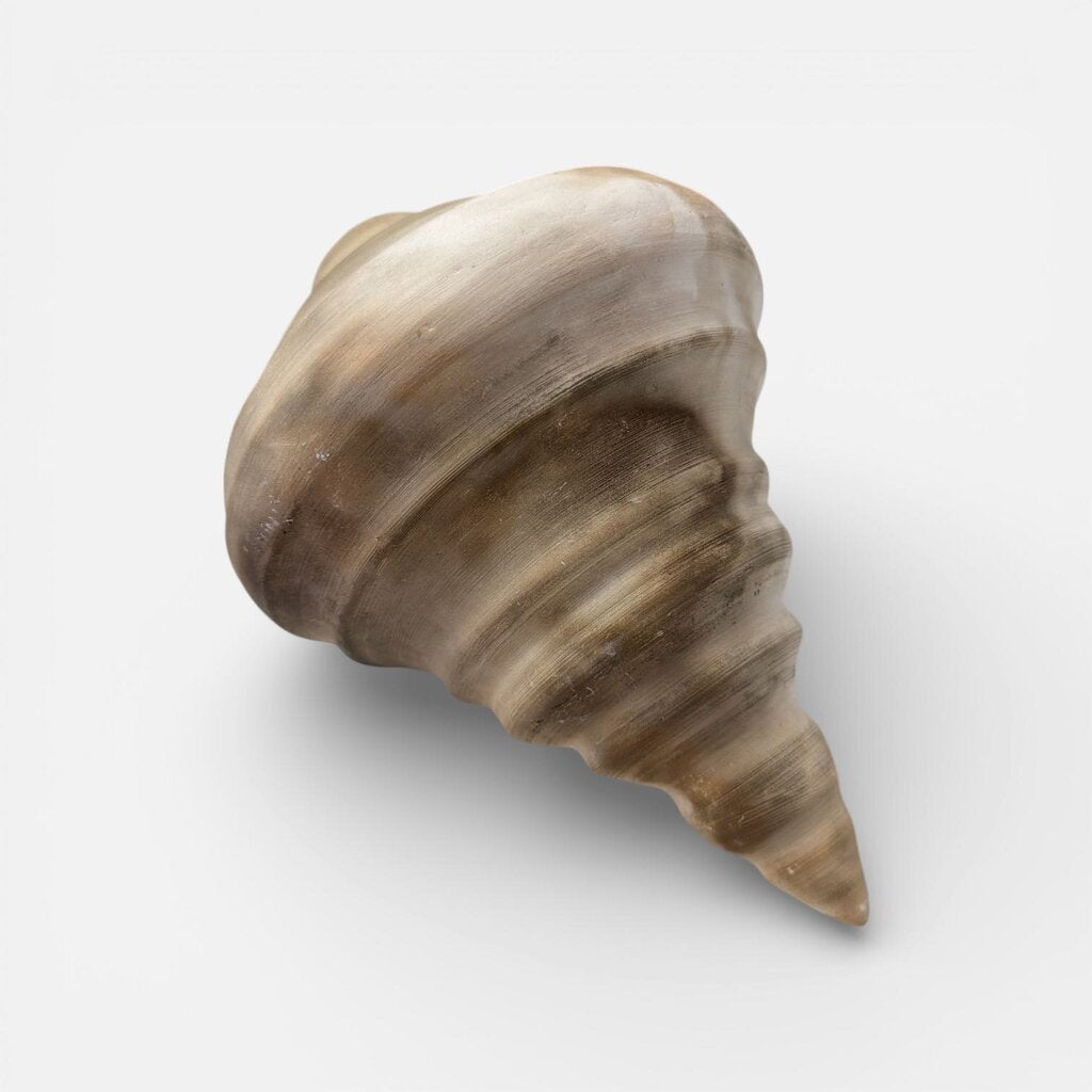 Beautiful Ceramic Seashell