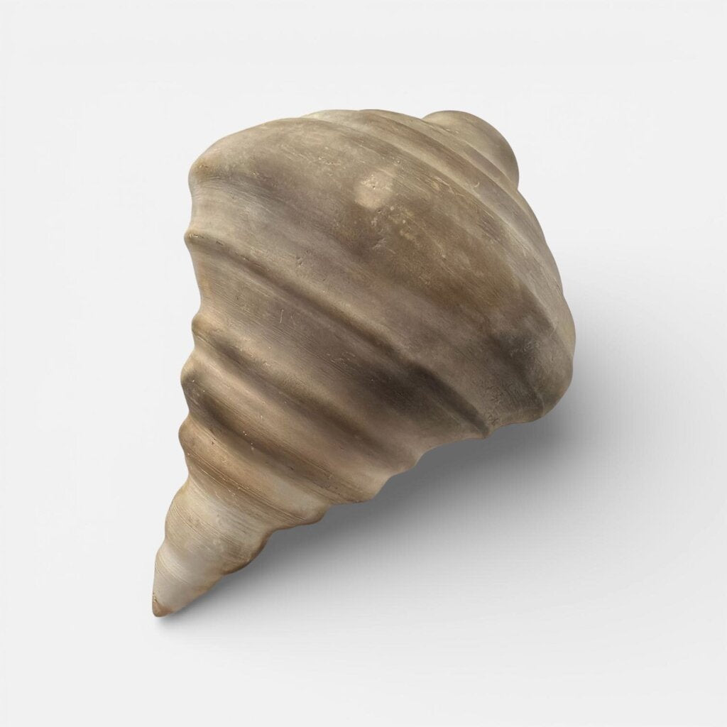 Beautiful Ceramic Seashell