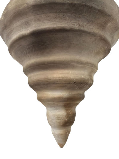 Beautiful Ceramic Seashell